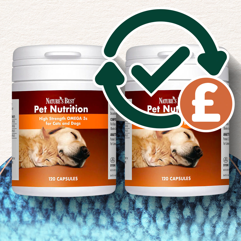 Omega 3 for Dogs and Cats