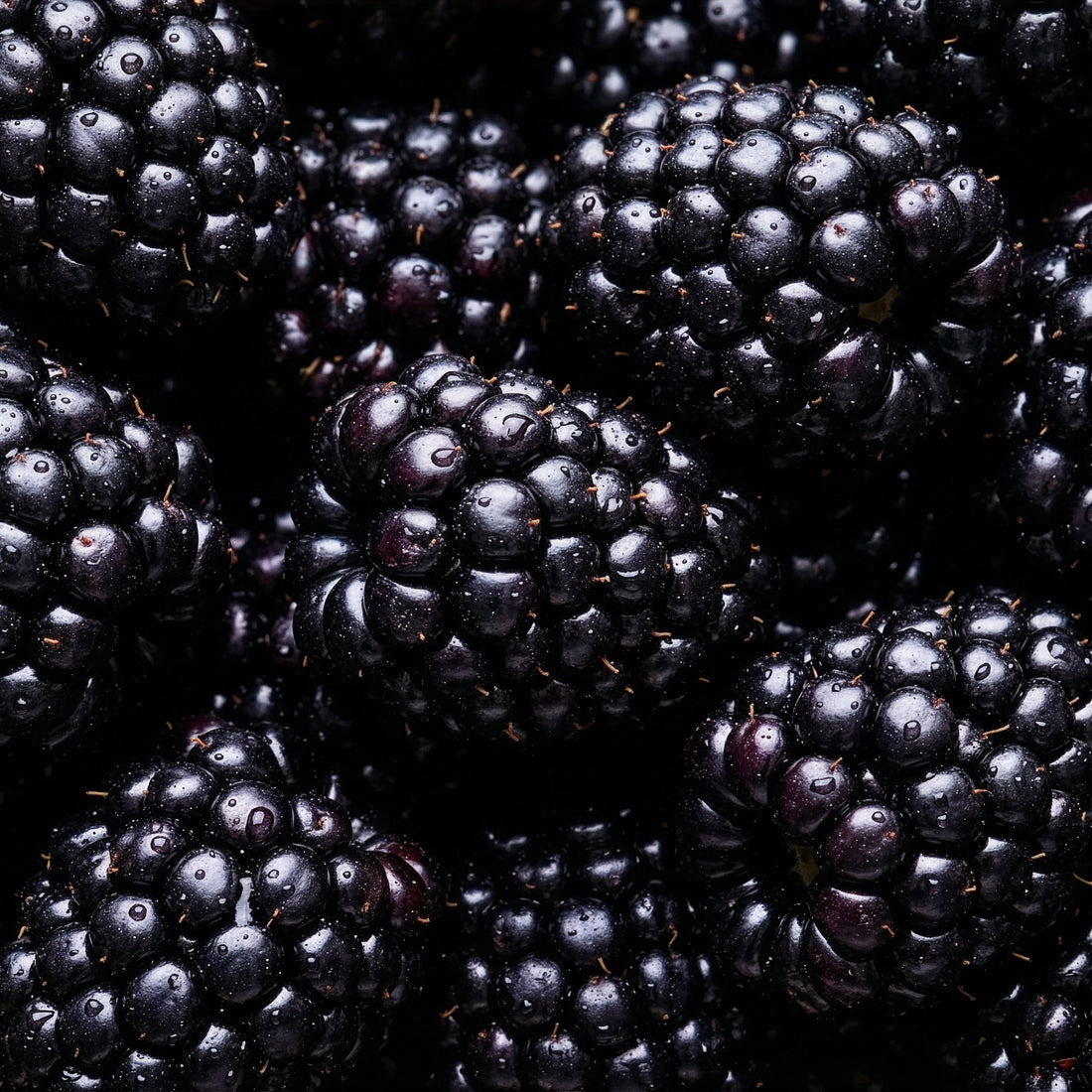 The Benefits of Antioxidants for Eye Health