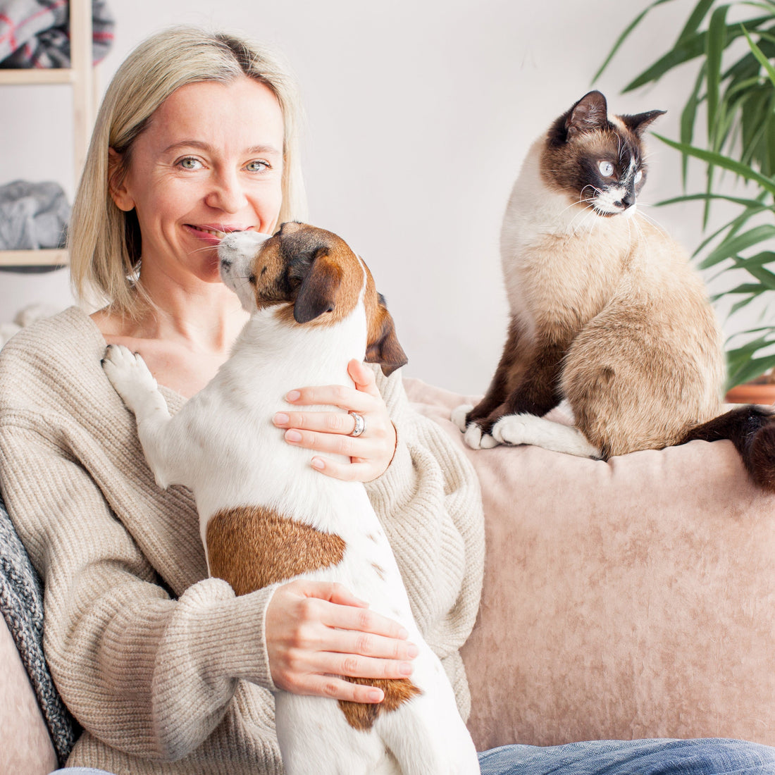 Glucosamine for Dogs & Cats: Natural Joint Support