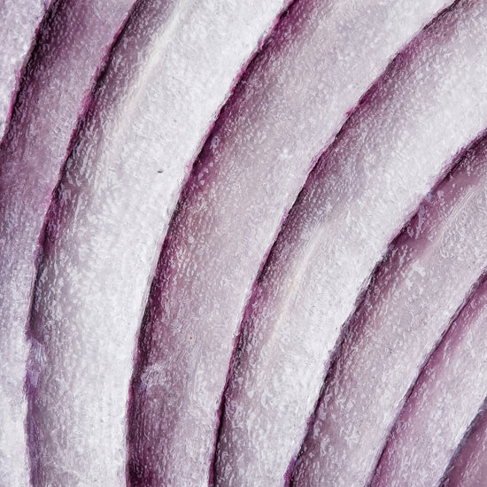 What are the benefits of prebiotics?