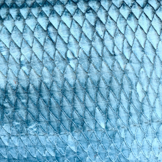 Why Has Fish Oil Got So Expensive?
