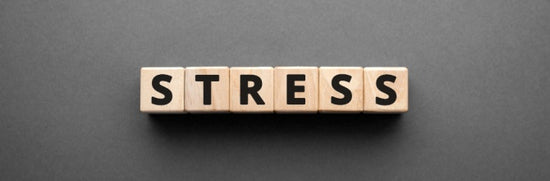 Exploring the link between BPH and stress
