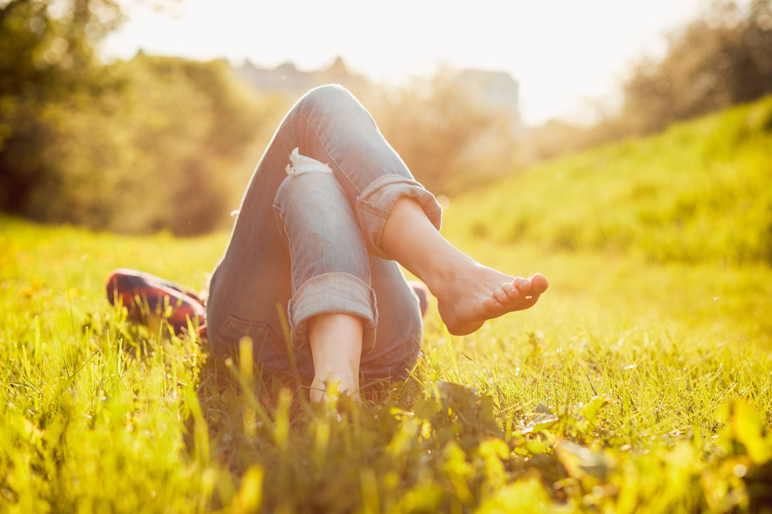 The Synergistic Duo: Unleashing the Power of Horse Chestnut and Butcher's Broom for Leg Health