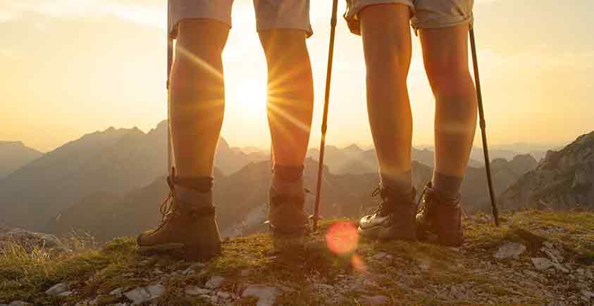Varicose Veins: Can Supplements Actually Cure Them? Spoiler Alert: Not Quite!