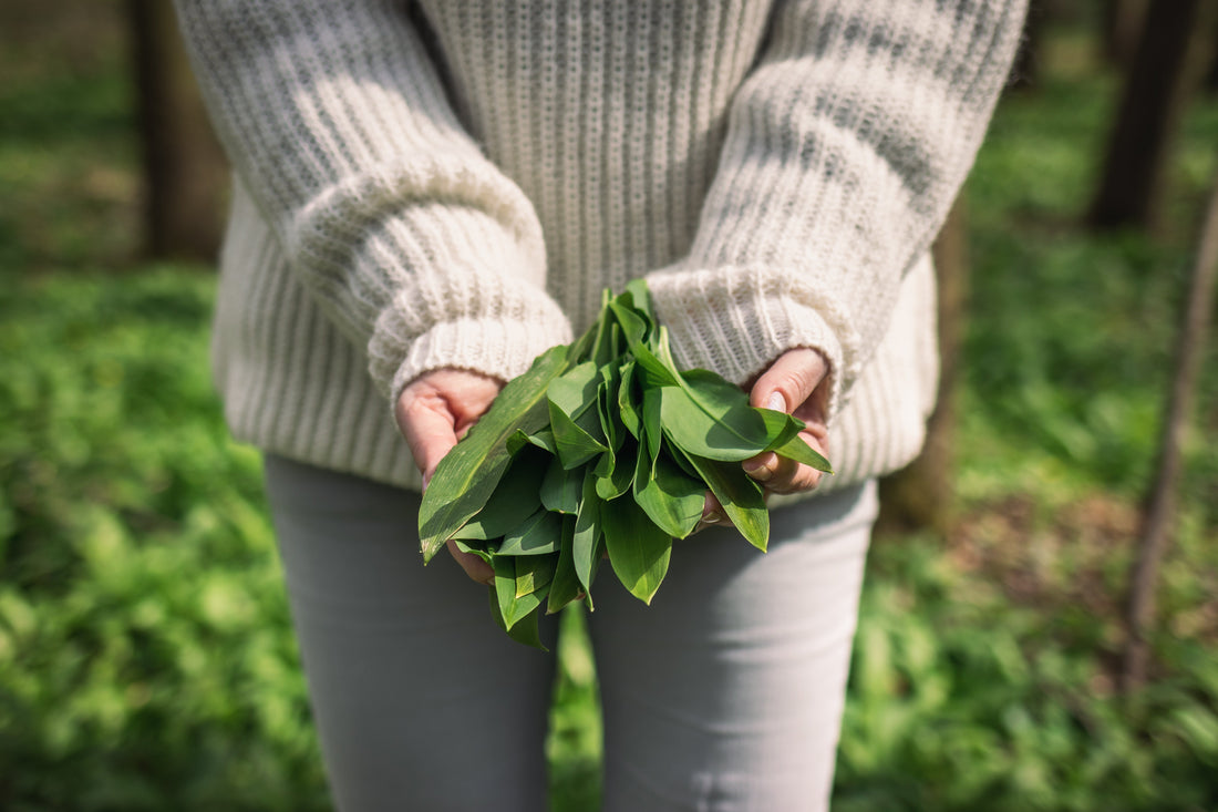 Wild Garlic Recipe