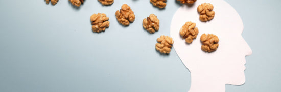 The Best Brain Food for Cognitive Health and Memory