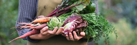What Does Fibre Do For the Body?