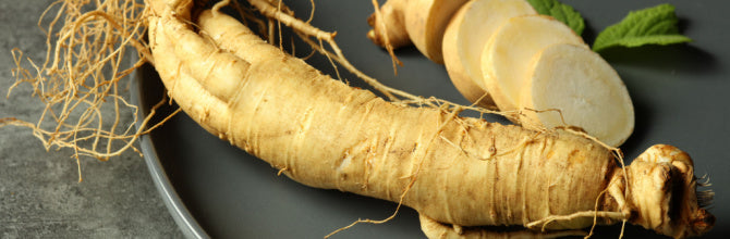 Korean Ginseng, Siberian Ginseng, Indian Ginseng: what’s the difference?