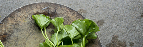 Why we don't sell gotu kola (centella asiatica)