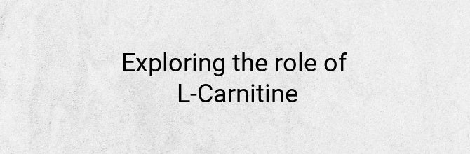 Exploring the role of L-Carnitine to support energy levels and health