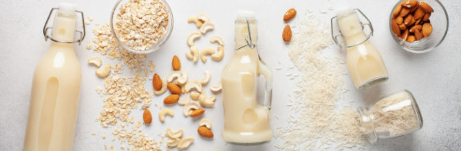 Lactose Free Meals: Dairy Free Recipes