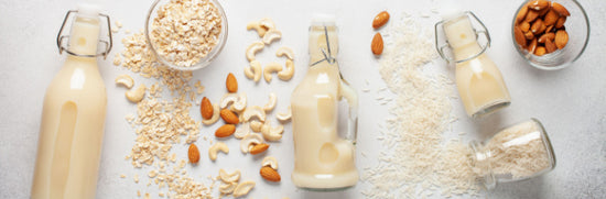 Lactose Free Meals: Dairy Free Recipes