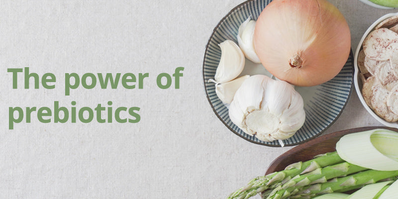 Product Focus - The power of prebiotics