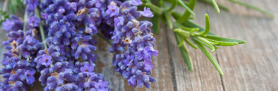Rosemary and Lavender Shampoo
