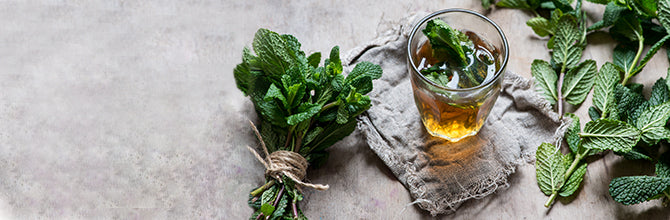 Soothing Your Stomach: Natural Support for Digestive Upsets