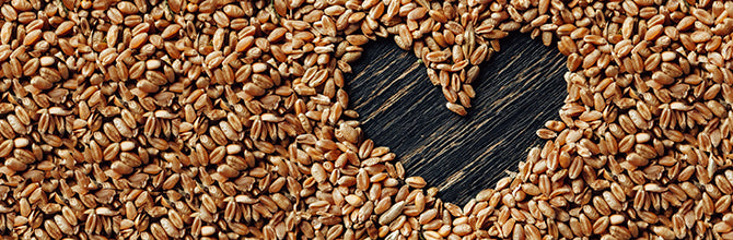 Why Is Fibre Important? How to Get More into Your Diet