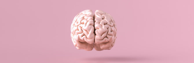 The Autonomic Nervous System (ANS) Explained