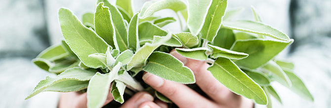 Claims About Our Products