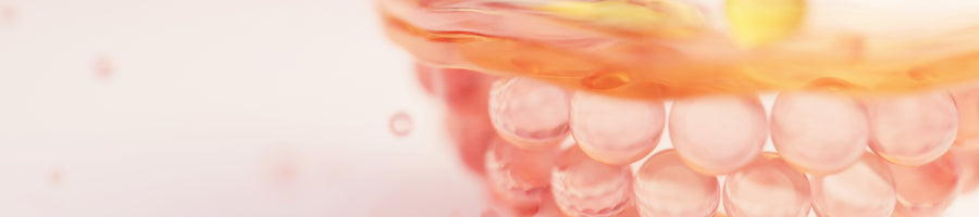 The Science Behind the Layers of your Skin