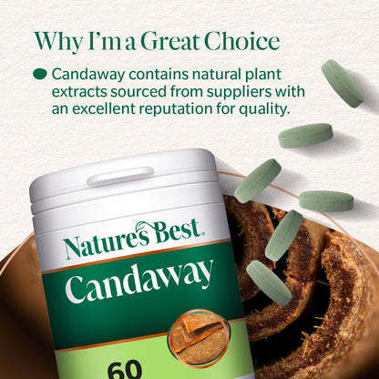 Candaway Digestion