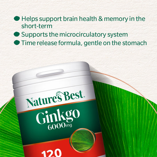 Nature's Best Ginkgo 6000mg dietary supplement bottle shown on a textured off-white background with green text callouts and a green leaf graphic behind the bottle.