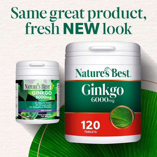 Ginkgo Biloba