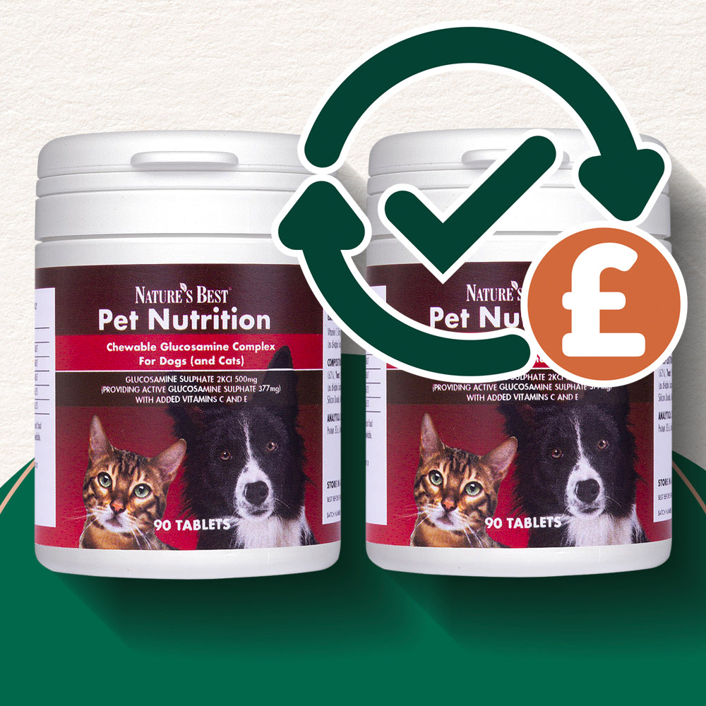 Glucosamine Tablets for Dogs & Cats