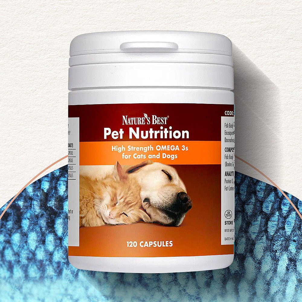 Omega 3 Dogs Cats