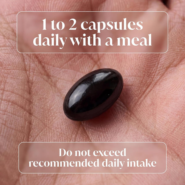 A glossy black oval supplement capsule resting on a person's palm, with text overlays reading '1 to 2 capsules daily with a meal' and 'Do not exceed recommended daily intake'.