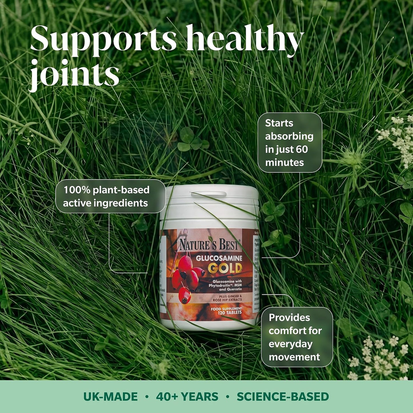Glucosamine Gold Pot in the grass surrounded by text