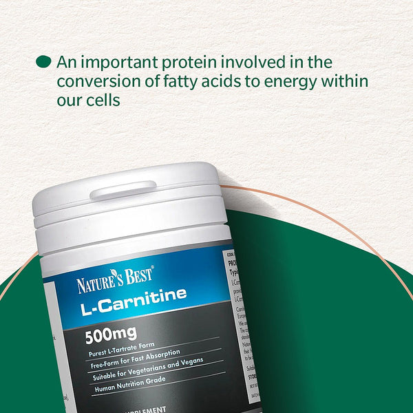 best l carnitine supplement uk L-Carnitine Supplements
