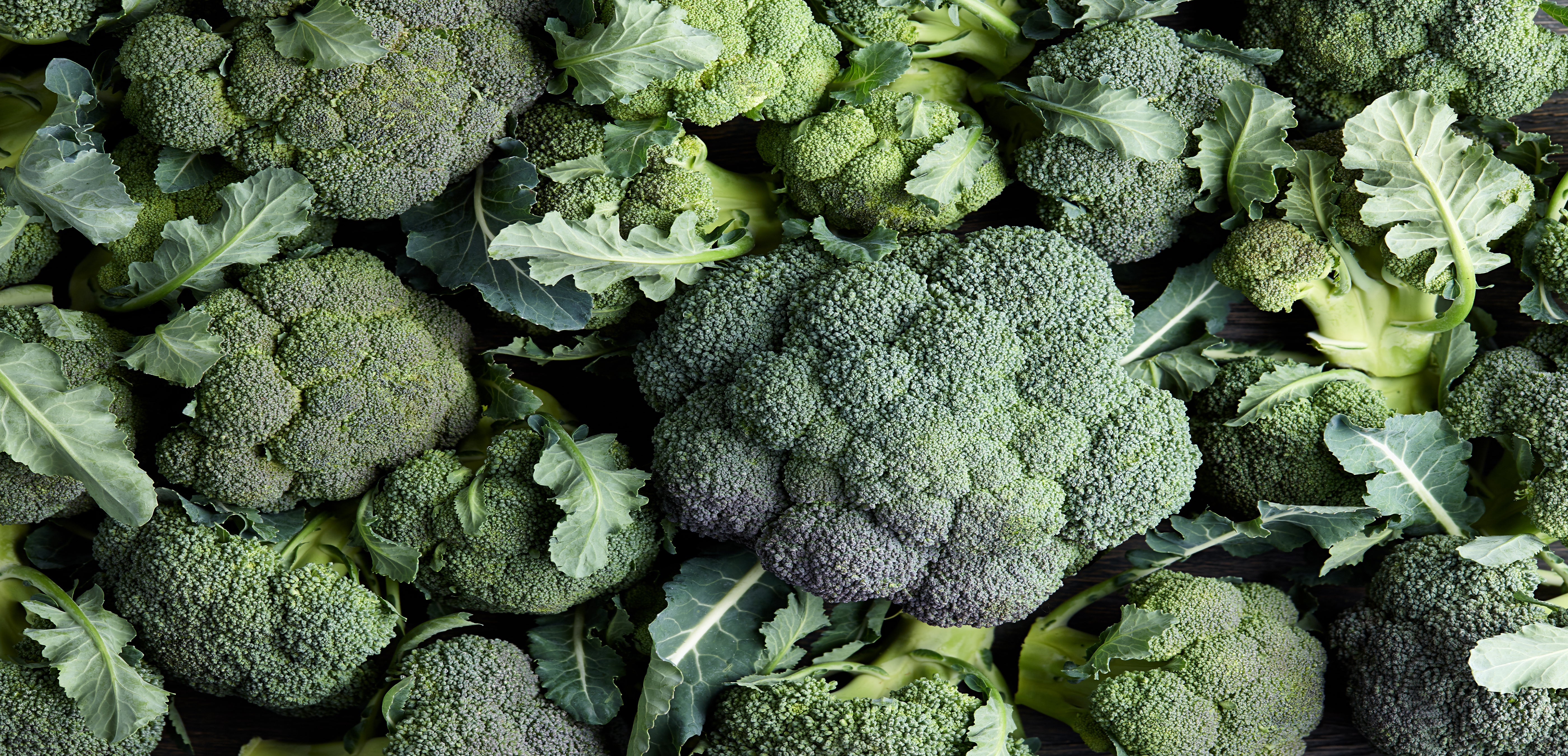 A close-up, top-down view of fresh broccoli florets and green leaves filling the frame.