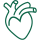 Heart & Circulation icon
