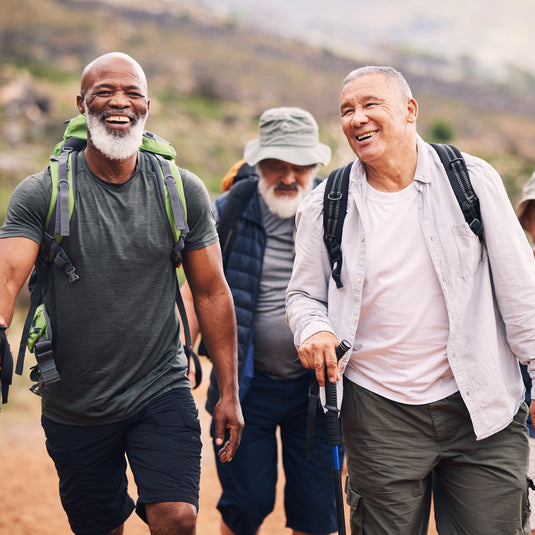Group of senior men hiking outdoors with backpacks and walking sticks.