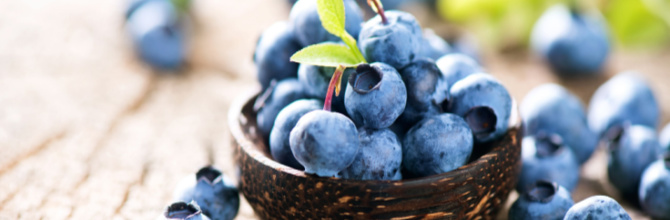 How Can Antioxidants Improve my Brain Health