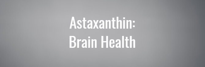  Astaxanthin and brain health: what’s the link?