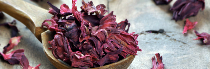 Why we don't sell hibiscus