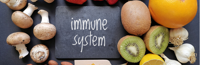 Understanding How the Immune System Works