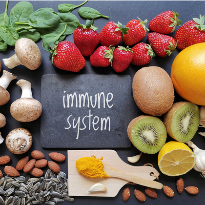 Understanding How the Immune System Works