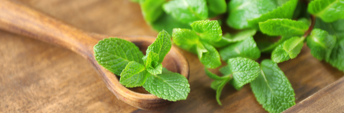 Theanine and Lemon Balm: How Can They Improve My Sleep Quality?