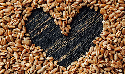  Why Is Fibre so Important? How to Get More into Your Diet