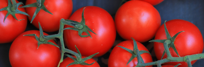 Why We Don't Sell Lycopene