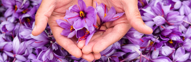 Why We Don't Sell Saffron