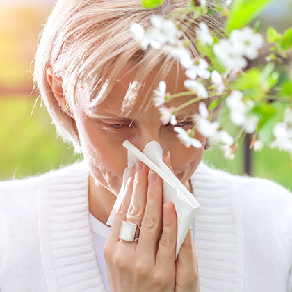  What is Hay Fever? 