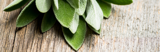 How sage can help with night sweats and hot flushes