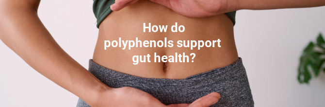 Polyphenols and gut health