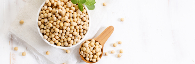  Soy for menopause: Is it a natural hot flush remedy?
