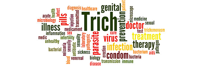 Trichomoniasis Explained