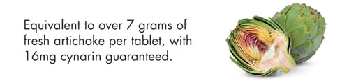 Equivalent to over 7grams of fresh artichoke per tablet, with 16mg cynarin guaranteed.