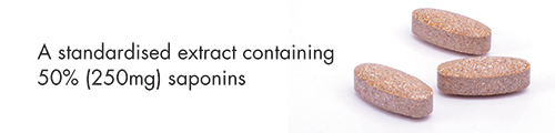A standardised extract containing 50% (250mg) saponins